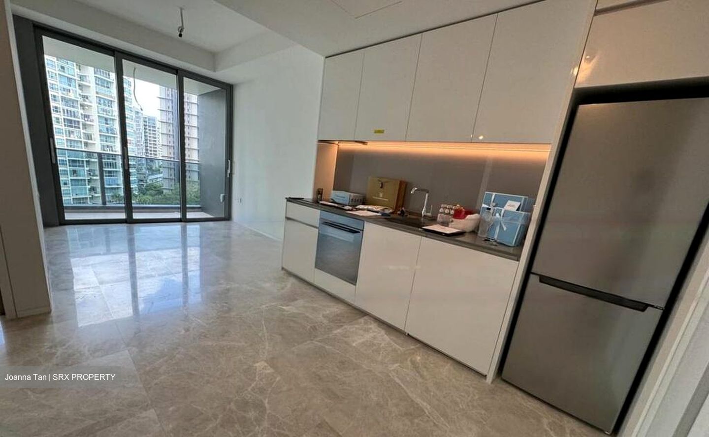 Amber Park (D15), Condominium #520866151